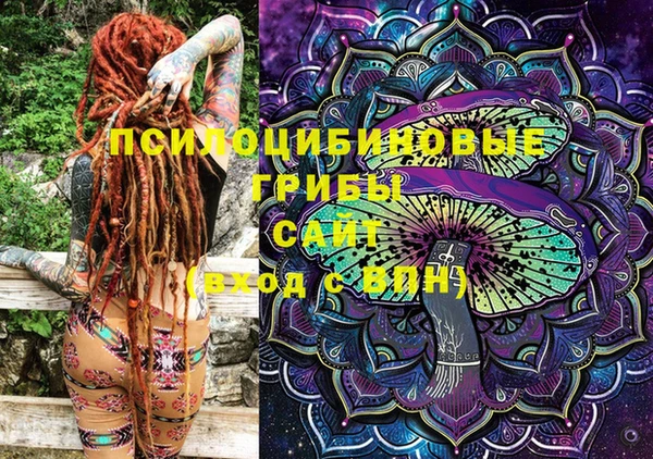 PSILOCYBIN Семёнов