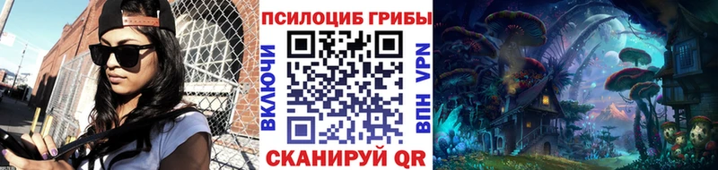 KRAKEN ТОР  Рузаевка  Псилоцибиновые грибы прущие грибы 
