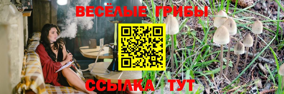 Рузаевка  Псилоцибиновые грибы Magic Shrooms  Вход с VPN 
