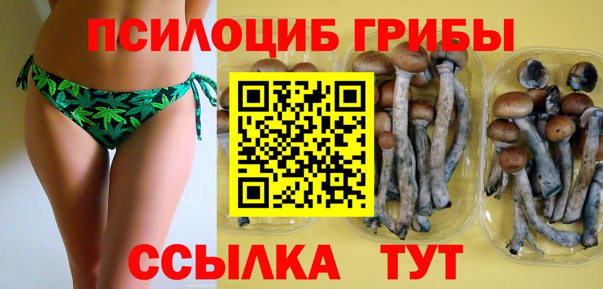 Псилоцибиновые грибы прущие грибы Рузаевка